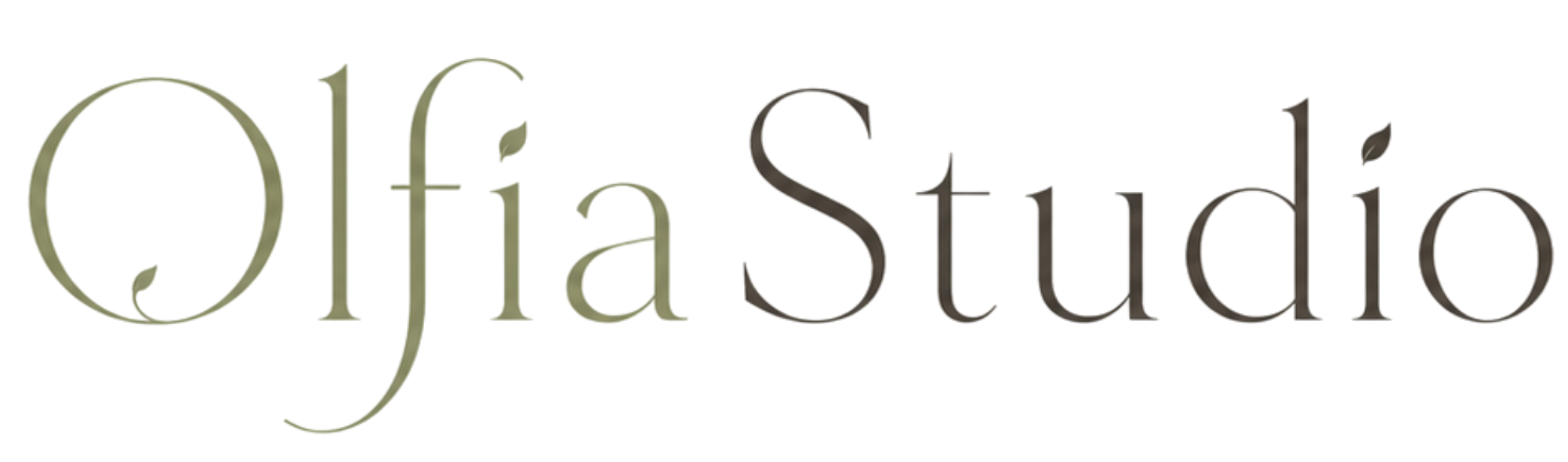 OlfiaStudio