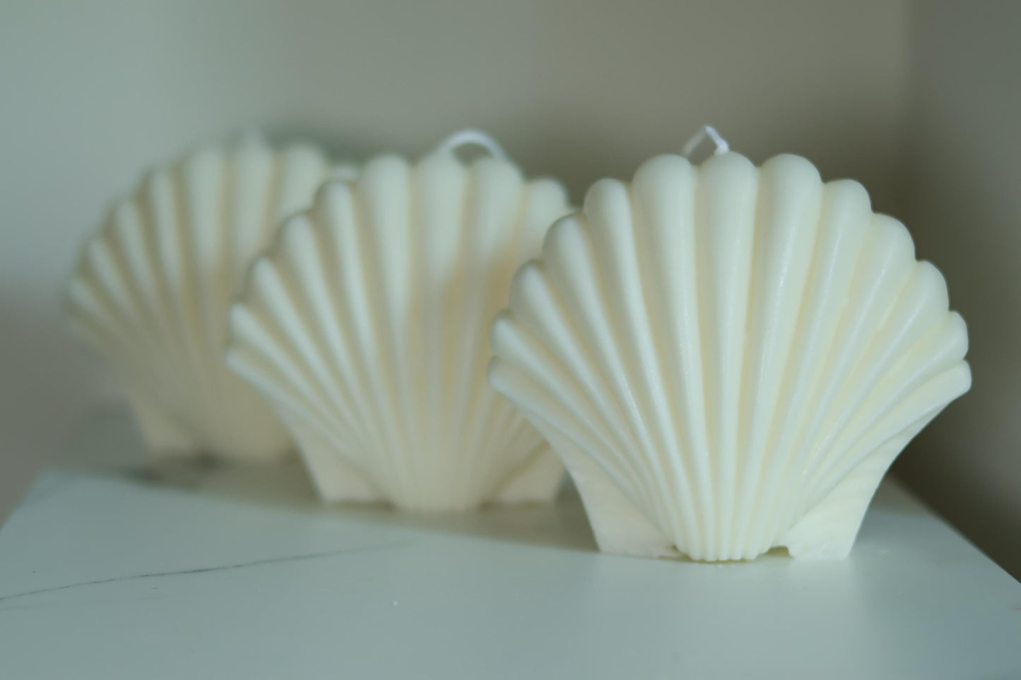 Large Shell Candle 5x5.5 inches