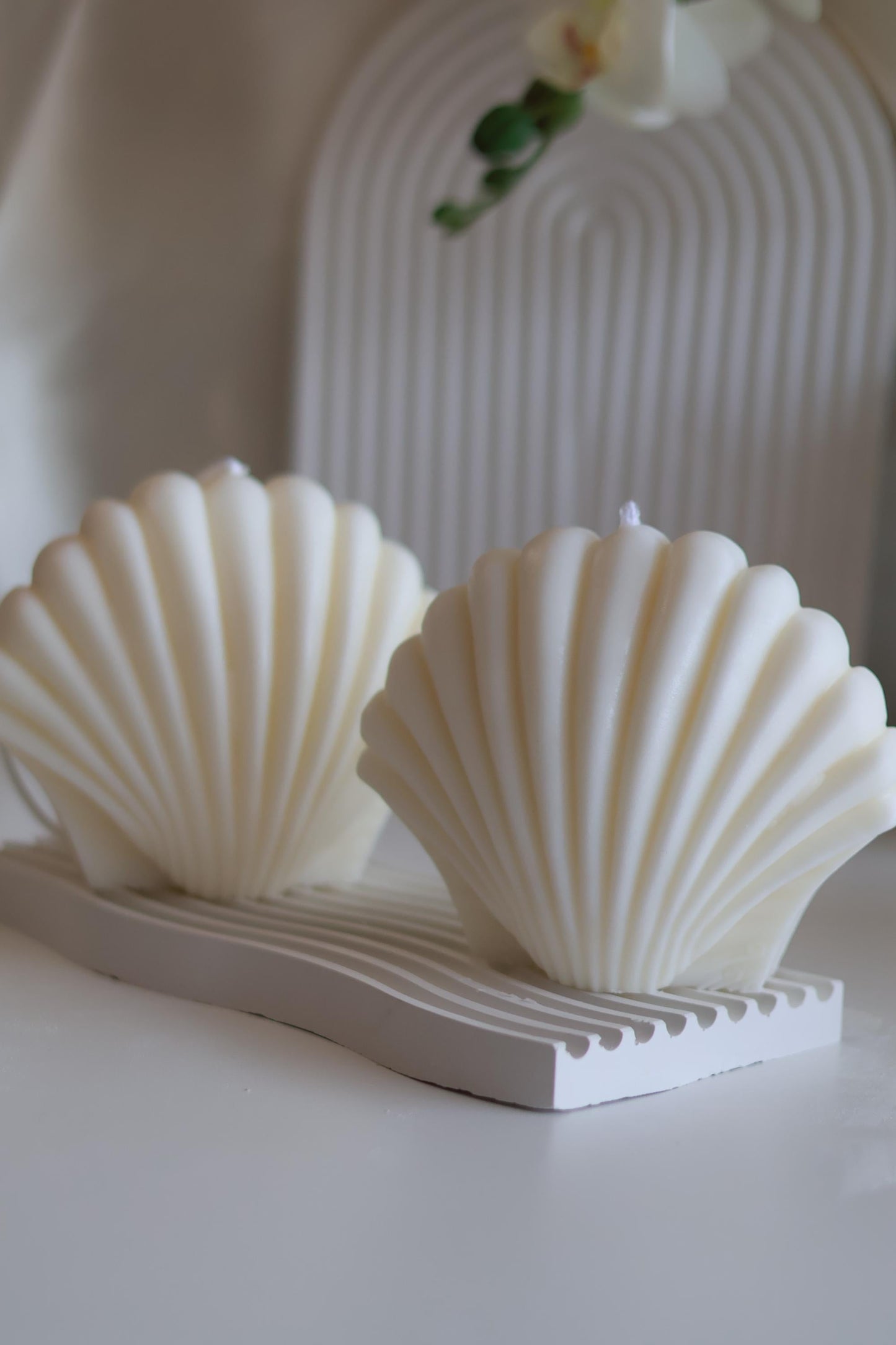 Large Shell Candle 5x5.5 inches