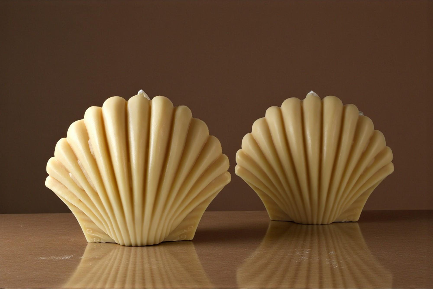 Shell Candle